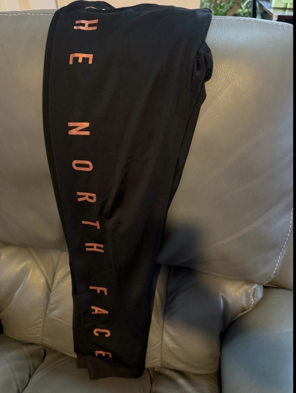 The North Face Black Leggings with Copper Xl Flashdry